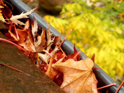 Fall Gutter Maintenance
